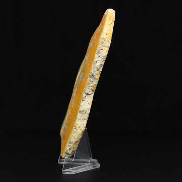 Polerad skiva av indonesisk humlajaspis