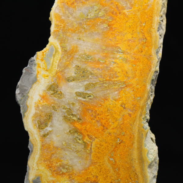 Polerad skiva av indonesisk humlajaspis