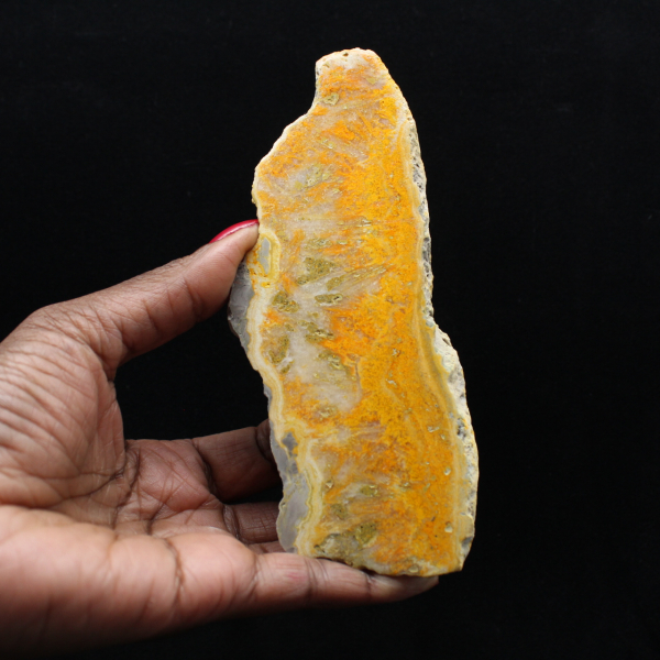 Polerad skiva av indonesisk humlajaspis