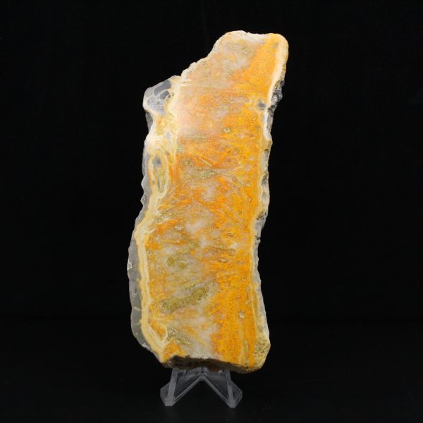 Tjock skiva indonesisk humlajaspis