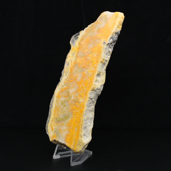 Tjock skiva indonesisk humlajaspis