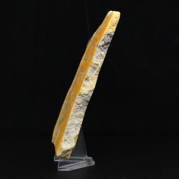 Tjock skiva indonesisk humlajaspis