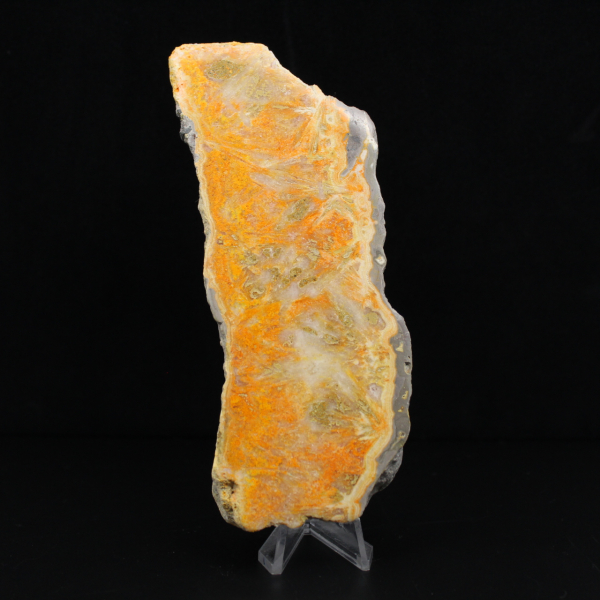 Tjock skiva indonesisk humlajaspis