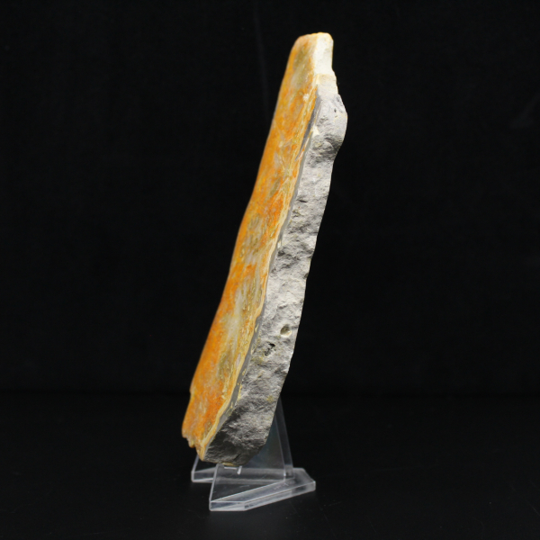 Tjock skiva indonesisk humlajaspis