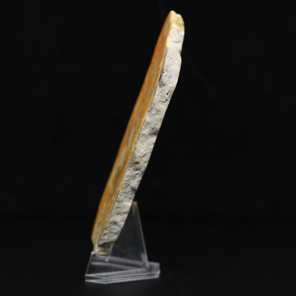 Polerat vulkaniskt humlejaspisprov