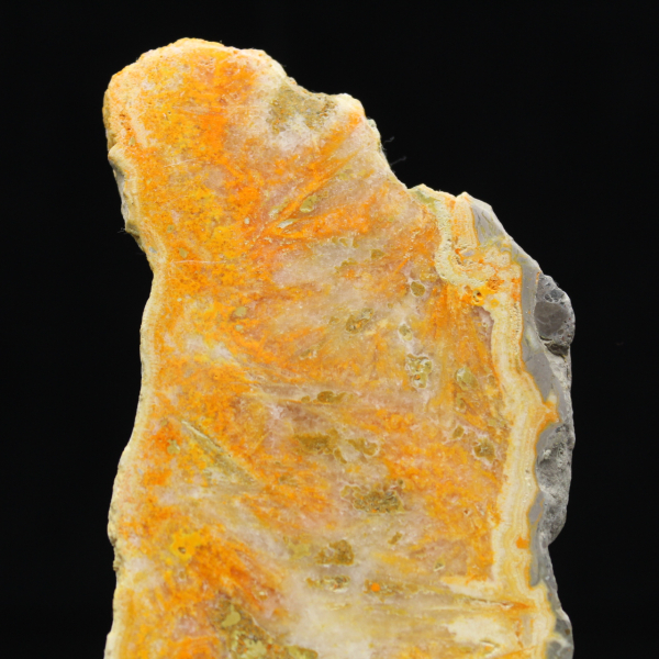 Polerat vulkaniskt humlejaspisprov