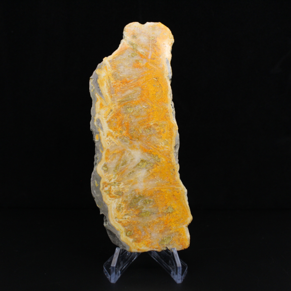 Humla Jaspis Skiva - Samlarkvalitet