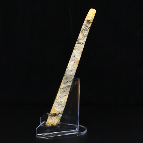 Humla Jaspis Skiva - Samlarkvalitet