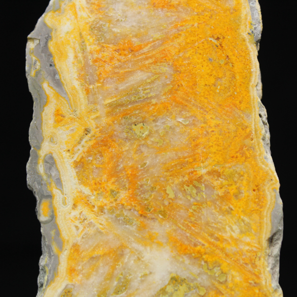 Humla Jaspis Skiva - Samlarkvalitet