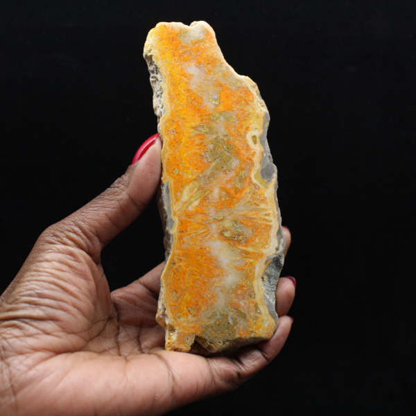 Humla Jaspis Skiva - Samlarkvalitet