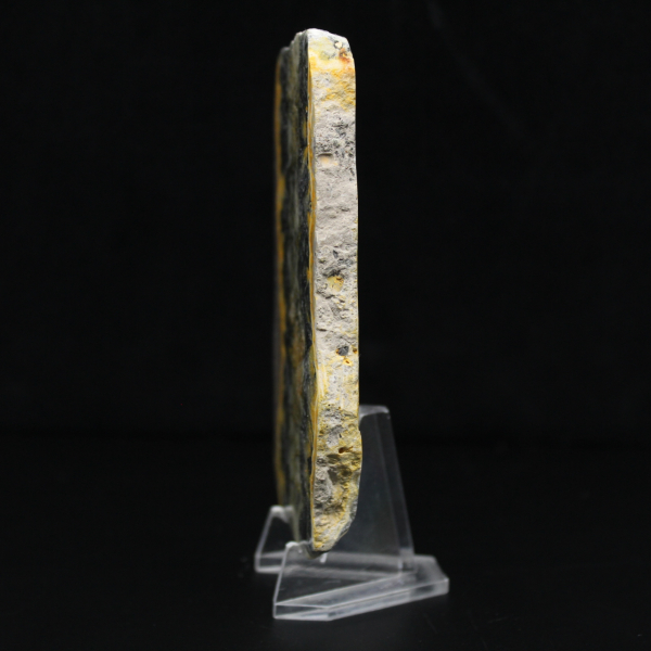 Polerad humlajaspis tunn platta