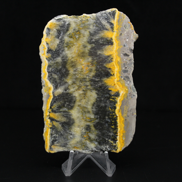 Litet skivat exemplar av Jaspishumla