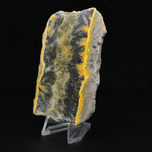 Litet skivat exemplar av Jaspishumla