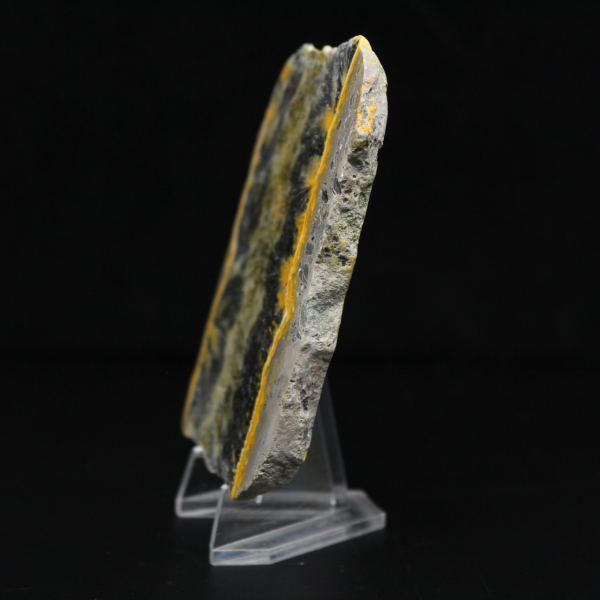 Litet skivat exemplar av Jaspishumla