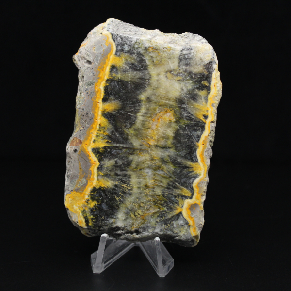 Litet skivat exemplar av Jaspishumla