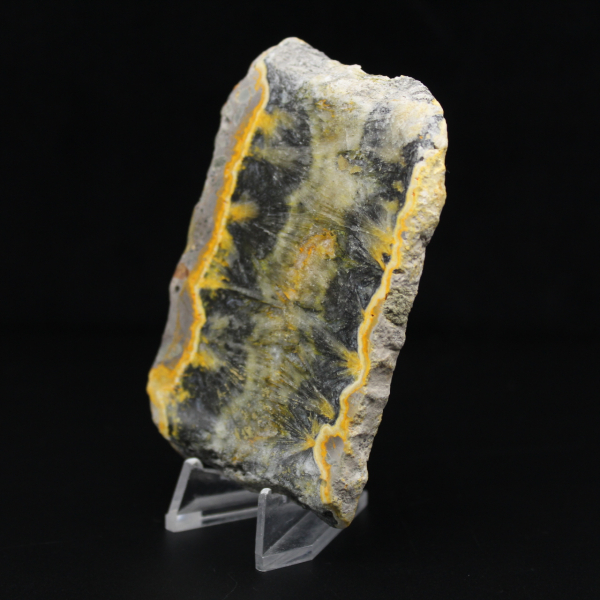 Litet skivat exemplar av Jaspishumla