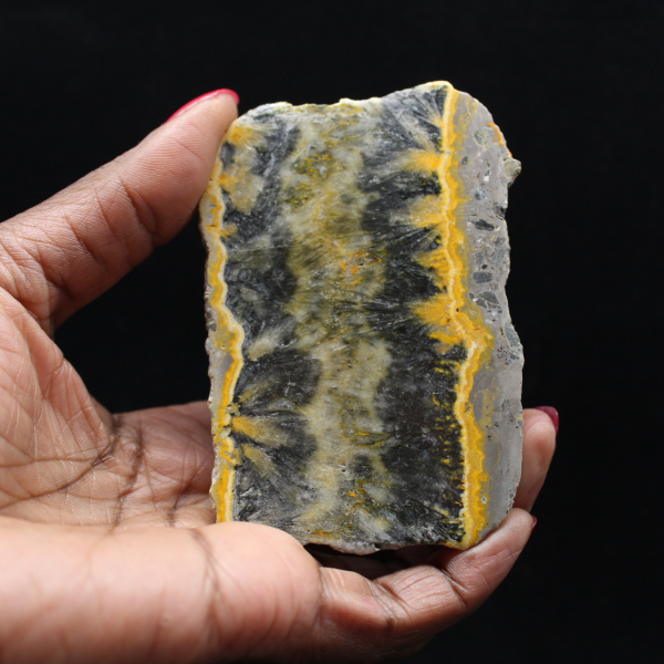 Litet skivat exemplar av Jaspishumla