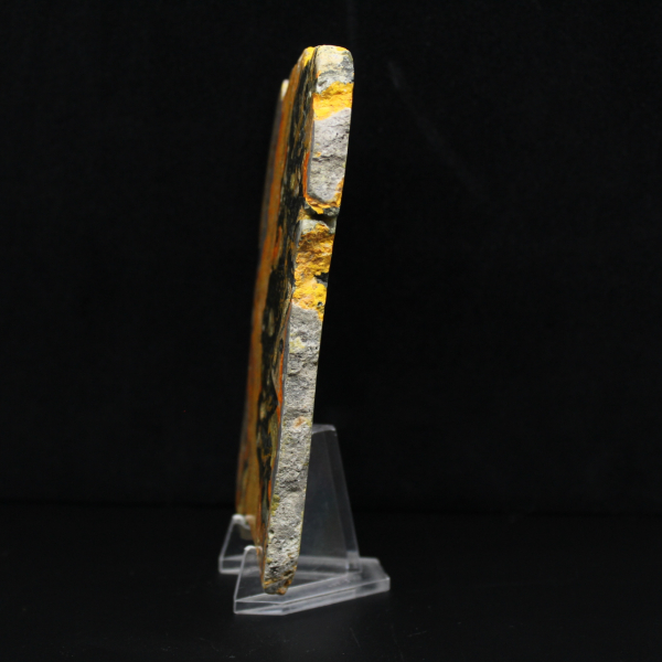 Polerad humlajaspis avlång skiva