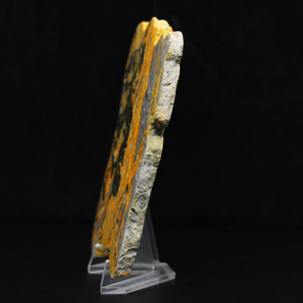 Polerad humlajaspis avlång skiva