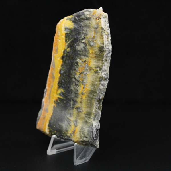 Polerat kompakt exemplar av humlajaspis