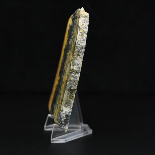 Polerat kompakt exemplar av humlajaspis