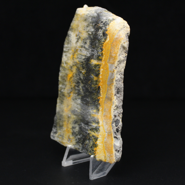 Polerat kompakt exemplar av humlajaspis