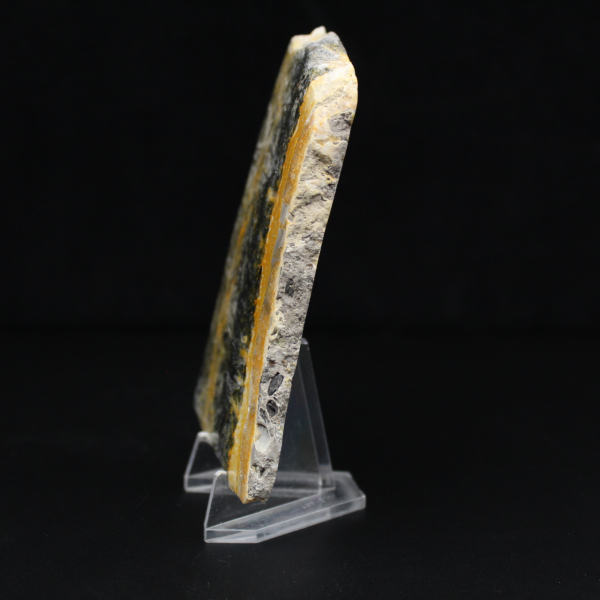 Polerat kompakt exemplar av humlajaspis