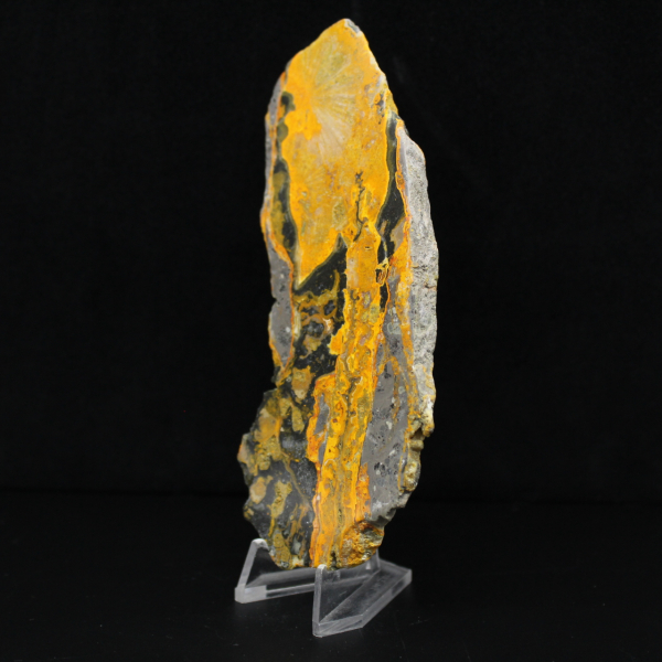 Humlajaspisskiva: Vulkanisk estetik