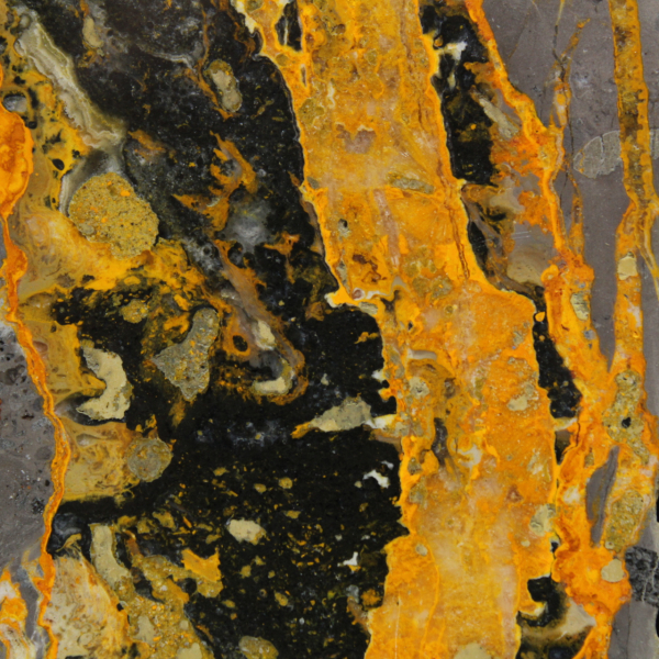 Humlajaspis: Högkvalitativ polerad plakett