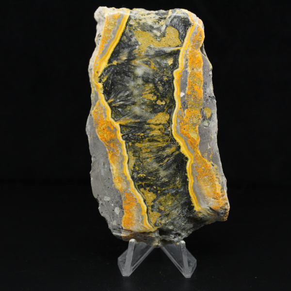 Tjock skiva polerad humlajaspis