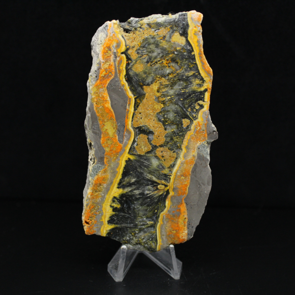 Tjock skiva polerad humlajaspis