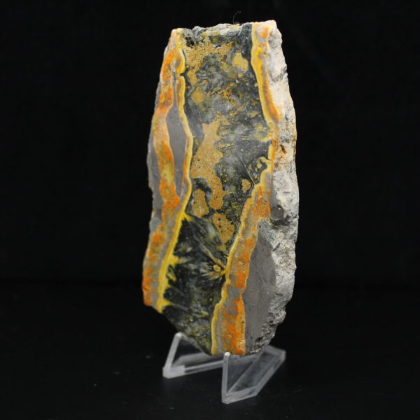 Tjock skiva polerad humlajaspis