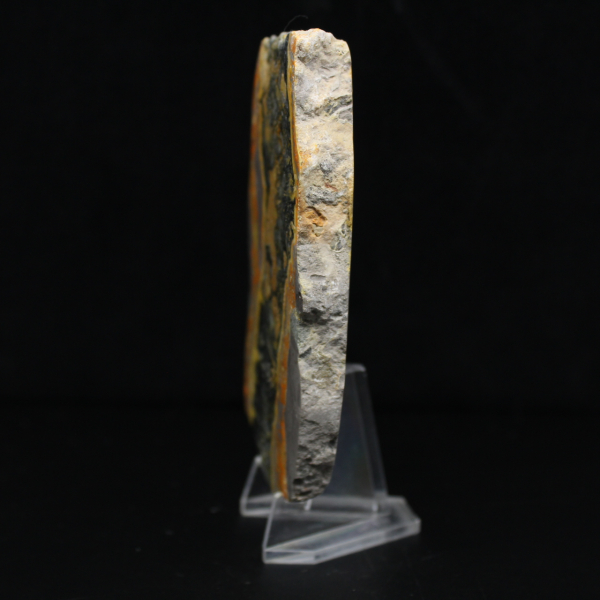 Tjock skiva polerad humlajaspis