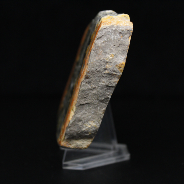 Humlajaspis: fyrkantig sedimentär platta