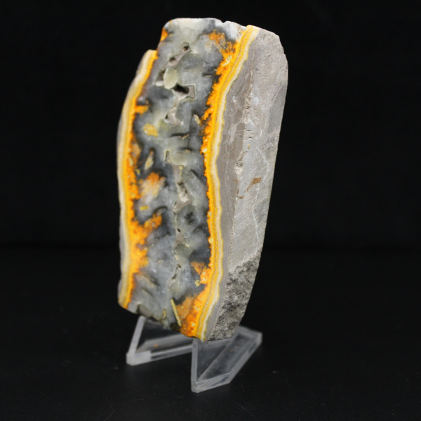 Robust skiva av indonesisk humlejaspis