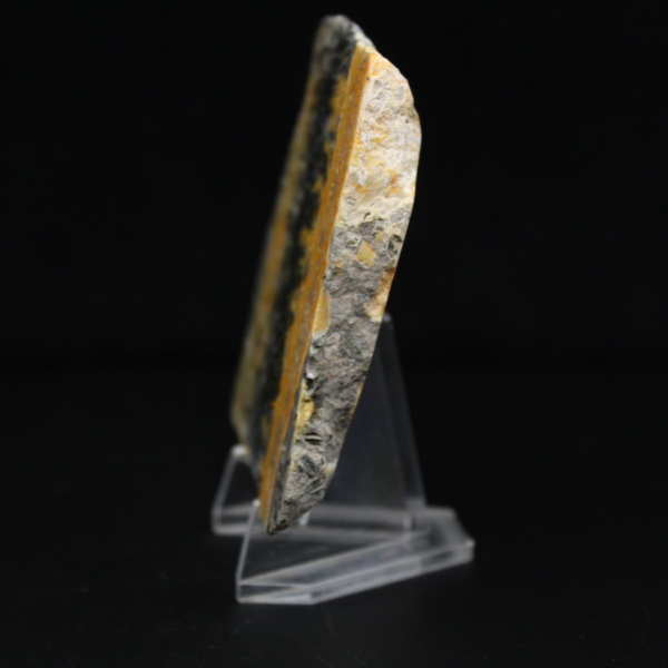 Liten polerad plakett av humlajaspis