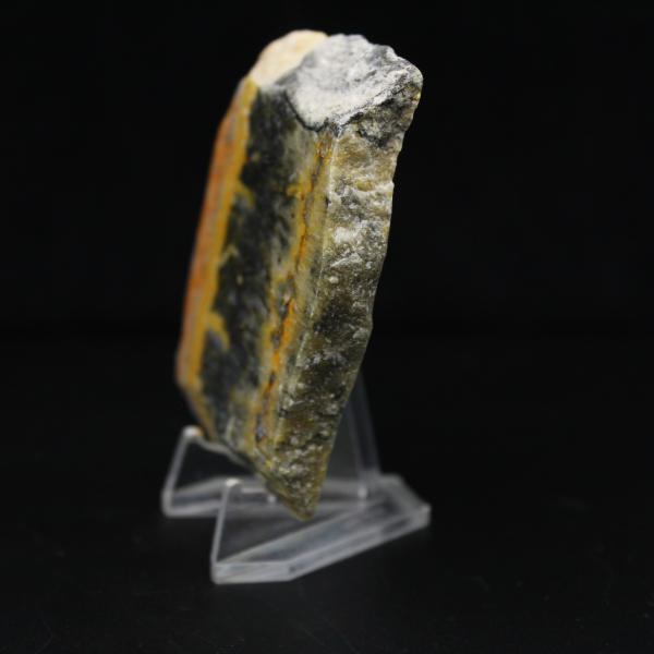 Liten polerad plakett av humlajaspis