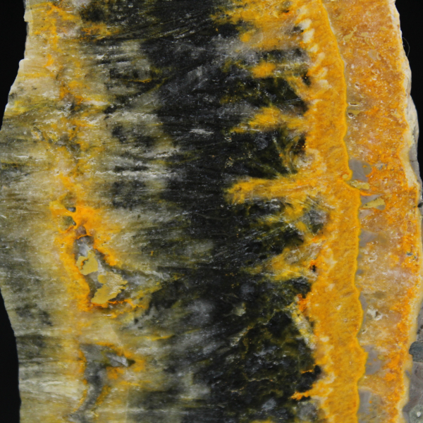 Liten polerad plakett av humlajaspis