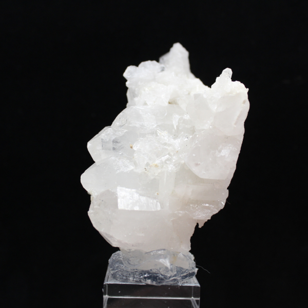 Himalayakristallfaden