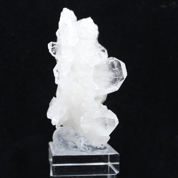 Himalayakristallfaden