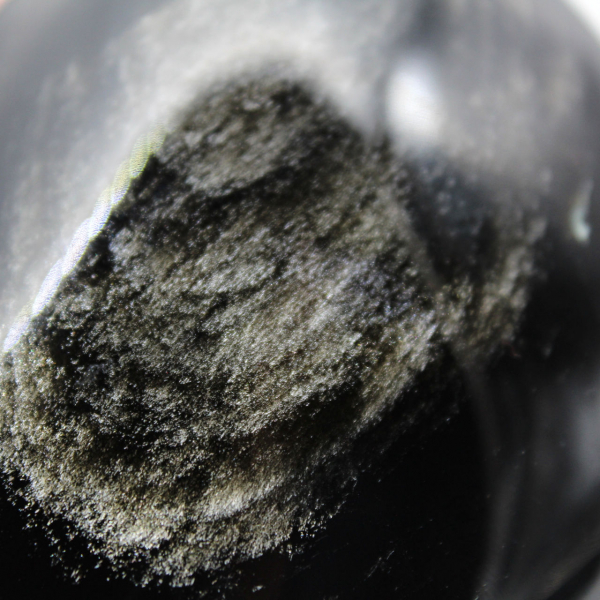 Gyllene obsidian