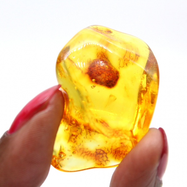 Liten gul bärnstenssten – Fossil Collectible
