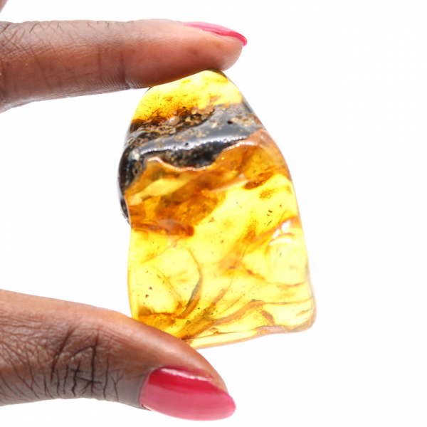 Autentisk polerad bärnsten från Litauen - Mineralogiprov