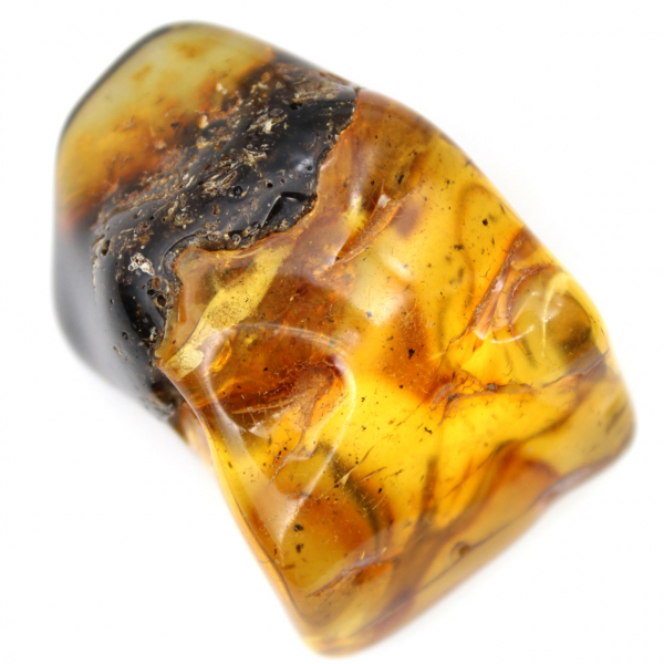 Autentisk polerad bärnsten från Litauen - Mineralogiprov
