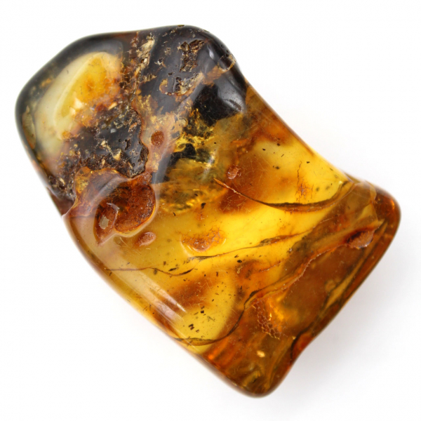 Autentisk polerad bärnsten från Litauen - Mineralogiprov