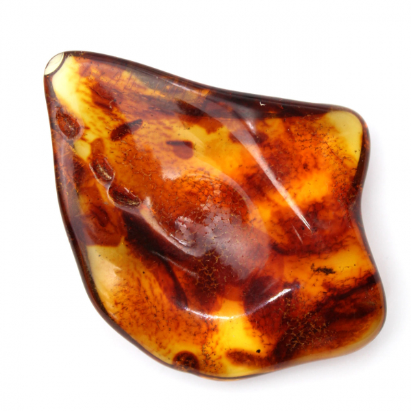 Polerad litauisk bärnsten: Sten för fossilsamling