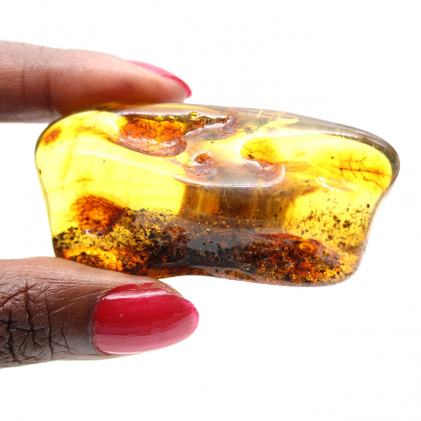 Liten polerad bärnstenssten från Litauen - Mineralogisk samling