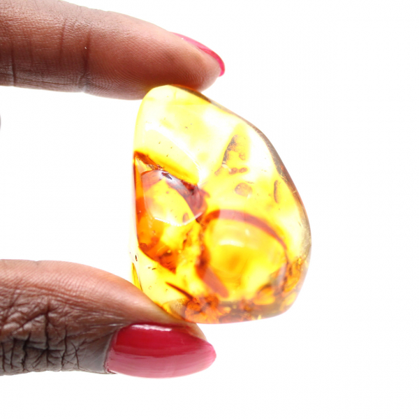 Polerad bärnsten från Litauen - Äkta samlarobjekt