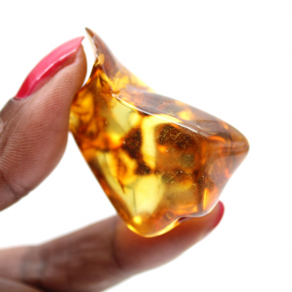 Polerad litauisk bärnsten - Naturlig skönhet och samling
