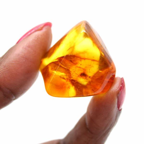 Litet exemplar av polerad bärnsten - Autentisk Litauen